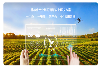 農(nóng)業(yè)項目公示網(wǎng)站 推動農(nóng)業(yè)現(xiàn)代化的新引擎