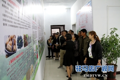 駐馬店市首個國家級'星創(chuàng)天地'在上蔡縣揭牌，助力農(nóng)業(yè)信息咨詢與創(chuàng)新發(fā)展