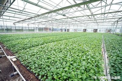 大荔農產品產地行 “從農田到餐桌”，品質看得見